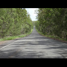 Wegen einer Baustelle mussten wir kurz auf den ehemaligen Pacific Highway
